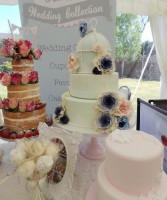 /album/fotogaleria/a216370-364758166962409-1982143862-n-edited-jpg/