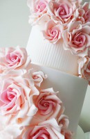 /album/fotogaleria/a1969300-487336348037923-1649643271-n-jpg/